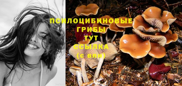 spice Абдулино