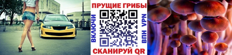 Галлюциногенные грибы Psilocybine cubensis Великий Новгород